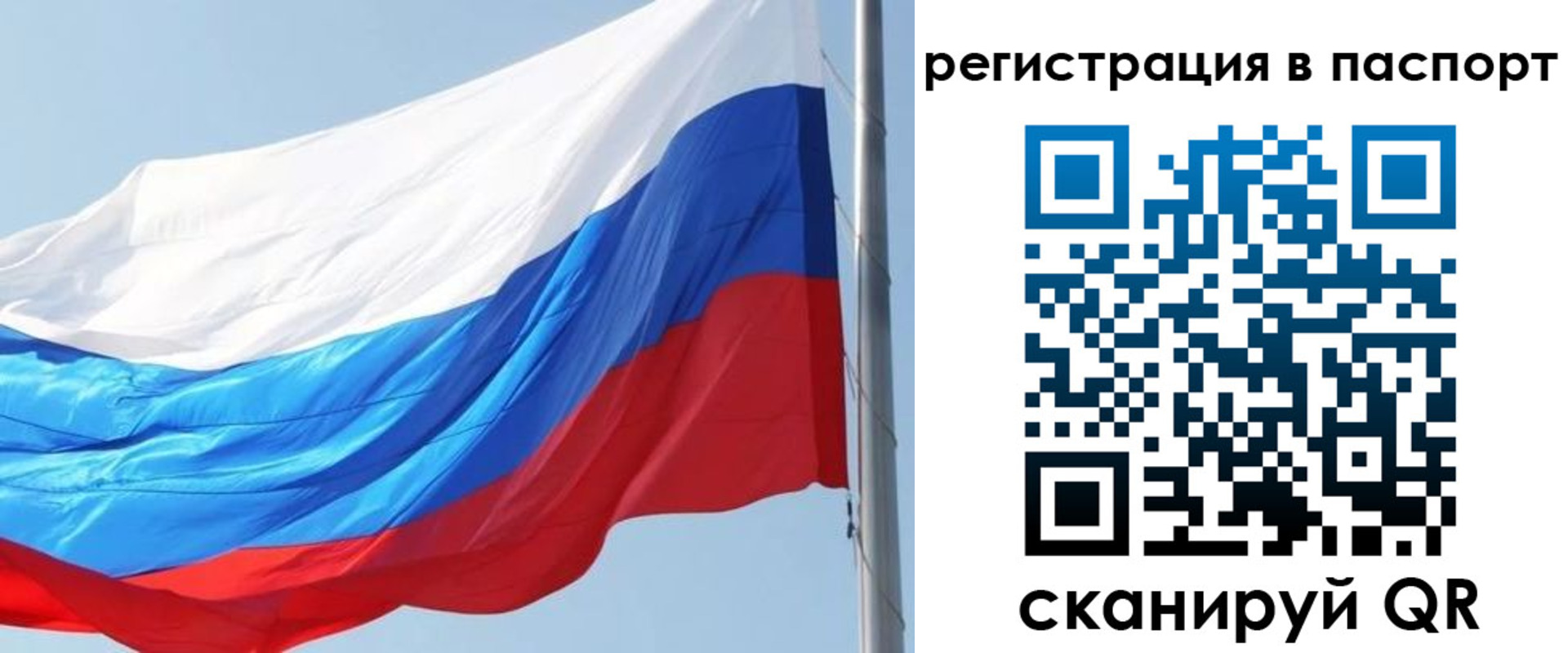 прописка законно в Гусь-Хрустальном